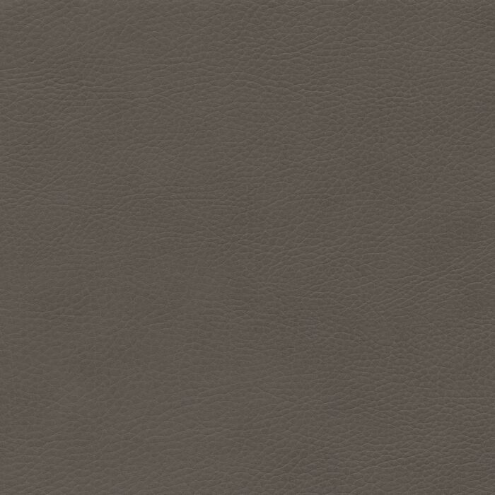 Skai® Vinyl - Parotega NF: Cinder F6461763