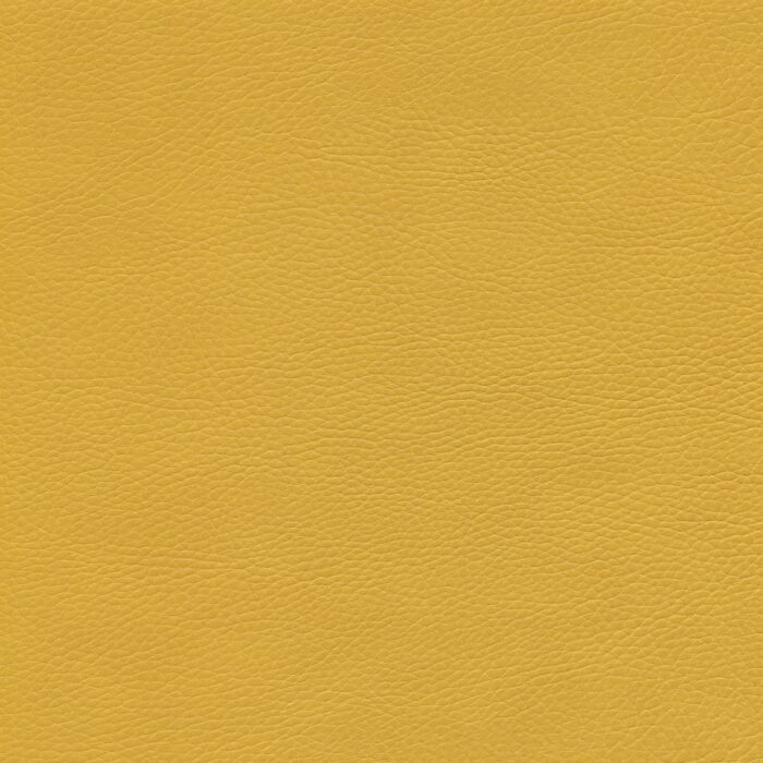 Skai® Vinyl - Parotega NF: Mais F6461706