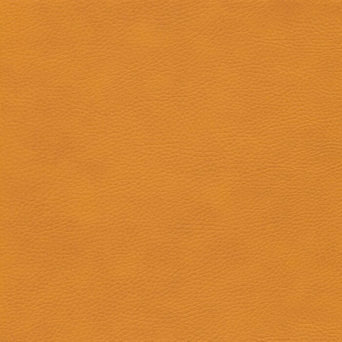 Skai® Vinyl - Parotega NF: Mango F6461666