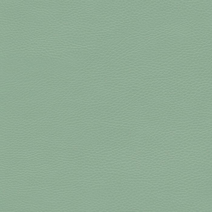 Skai® Vinyl - Parotega NF: Mint F6461767