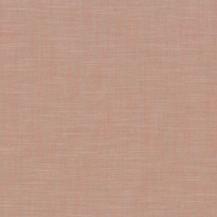 De Ploeg - Fog: 18