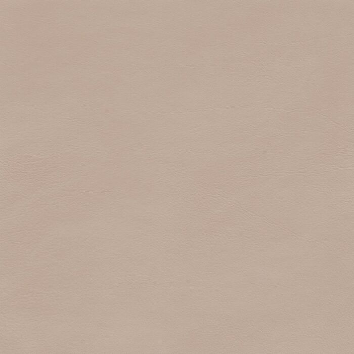 Skai® Vinyl - Palma NF: Birke F6411152