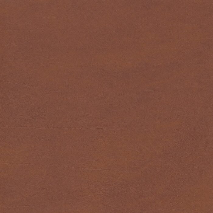 Skai® Vinyl - Palma NF: Inka F6411145