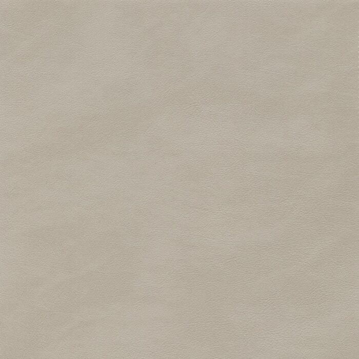 Skai® Vinyl - Palma NF: Lichtgrau F6411199