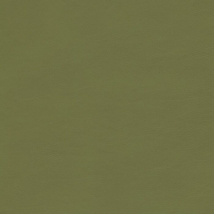 Skai® Vinyl - Palma NF: Olivgrün F6411196