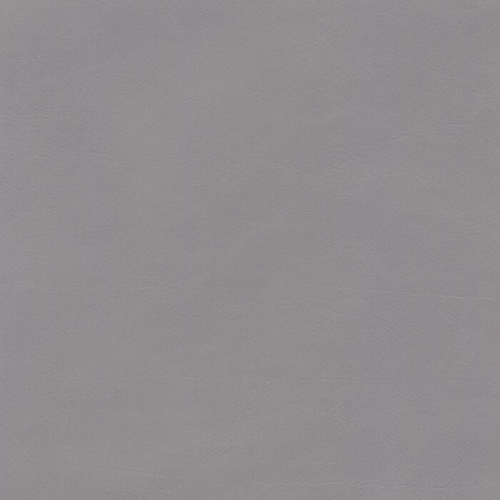 Skai® Vinyl - Palma NF: Platin F6411012