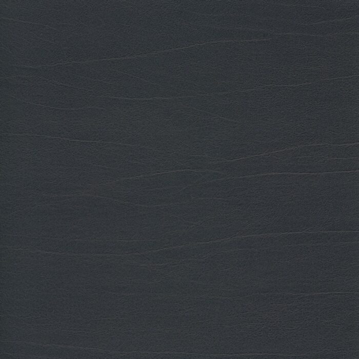 Skai® Vinyl - Palma NF: Schwarz F6411011