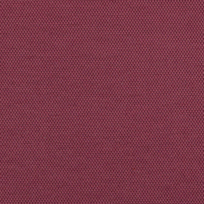 Wetcare® - Riva: Prune