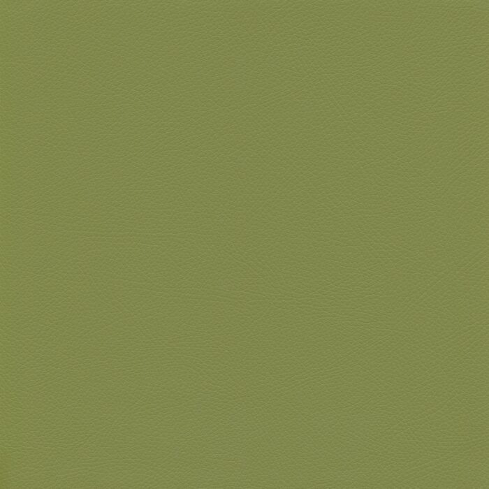 Skai® Vinyl - Toledo EN: Olive F6470014