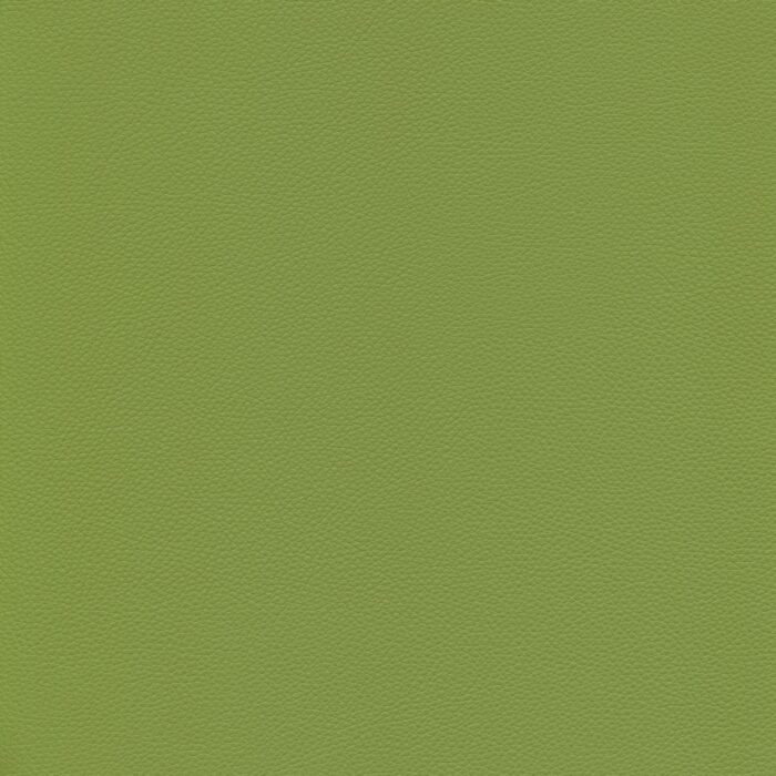 Skai® Vinyl - Toronto EN: Olive Green F6471014