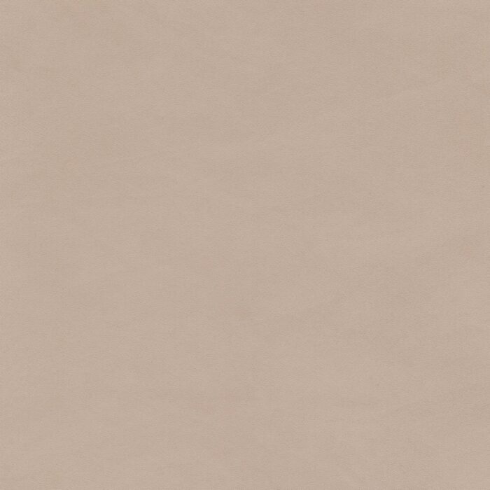 Skai® Vinyl - Pandoria Plus: Birke F6413049