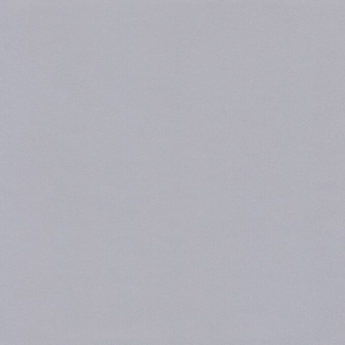 Skai® Vinyl - Pandoria Plus: Silbergrau F6413075