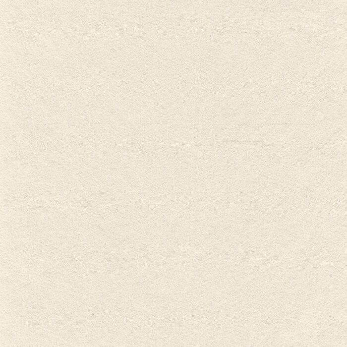 Skai® Vinyl - Evida Fiber: Cream F6800103