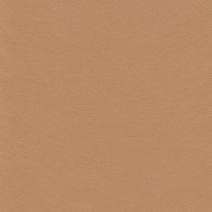 Skai® Vinyl - Evida Fiber: Gobi F6800113