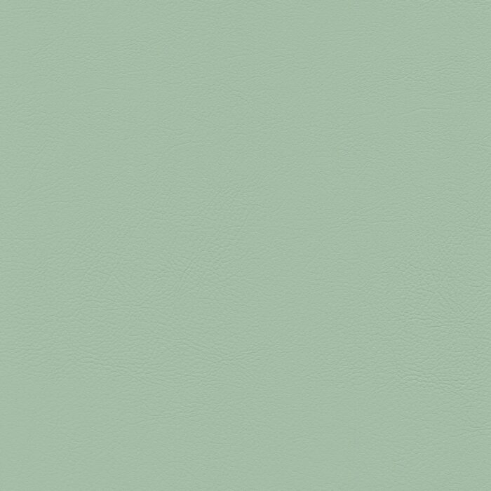 Skai® Vinyl - Evida: Sage F6800077