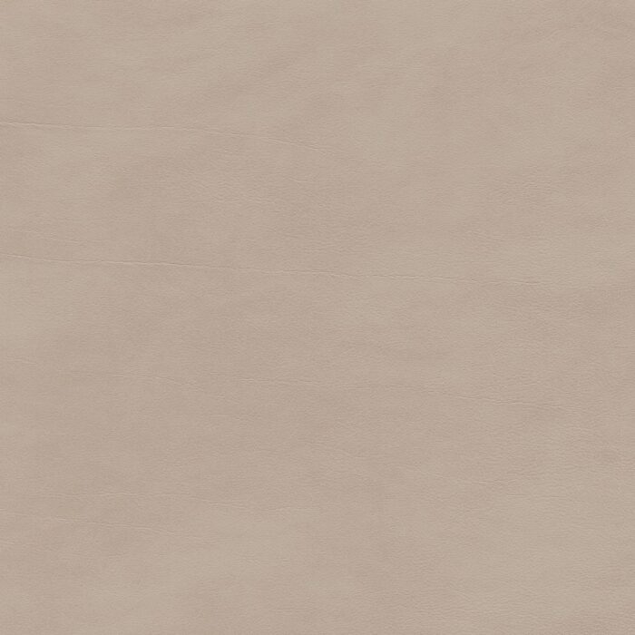 Skai® Vinyl - Palma: Birke F6411169