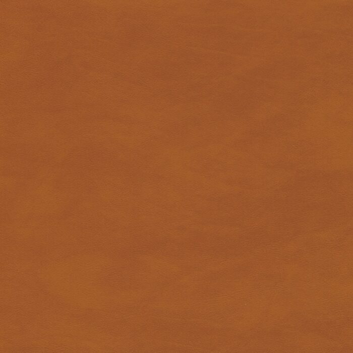 Skai® Vinyl - Palma: Lima F6410710