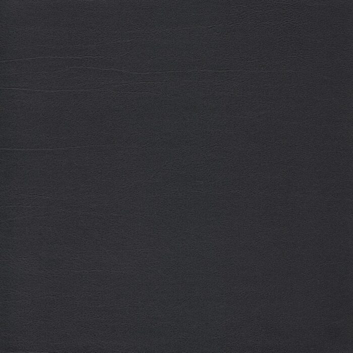 Skai® Vinyl - Palma: Schwarz F6410701