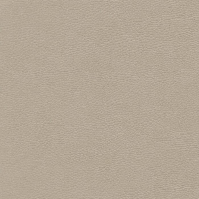 Skai® Vinyl – Sotega: Birke F5070767