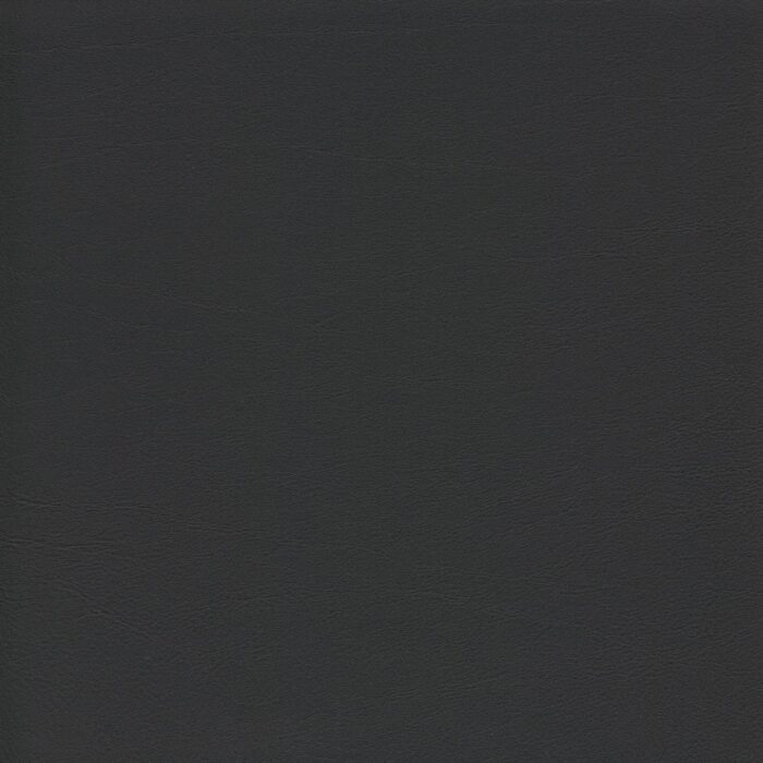 Skai® Vinyl -  Tundra: Schwarz F6461195