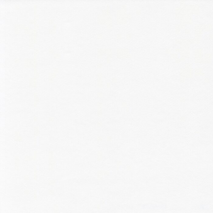 Skai® Vinyl - Cool Colours Valero: White F6495063